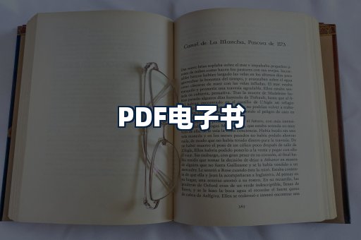 PDF电子书